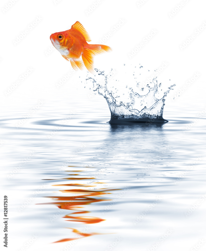 goldfish jumping