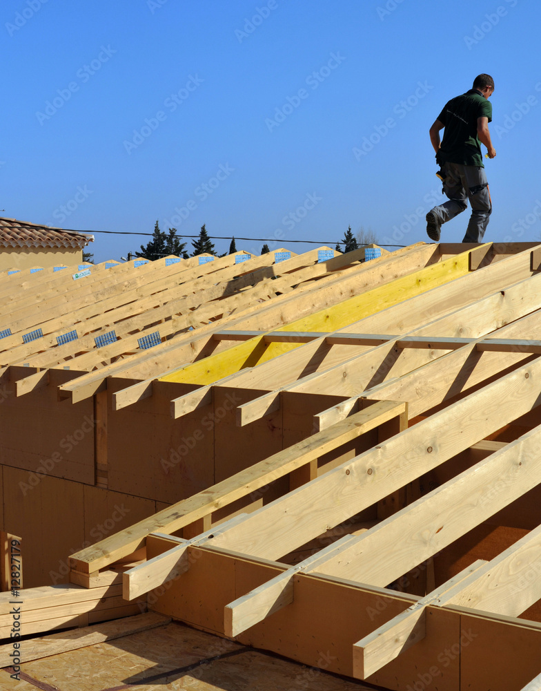 custom made wallpaper toronto digitalle charpentier sur mon toit