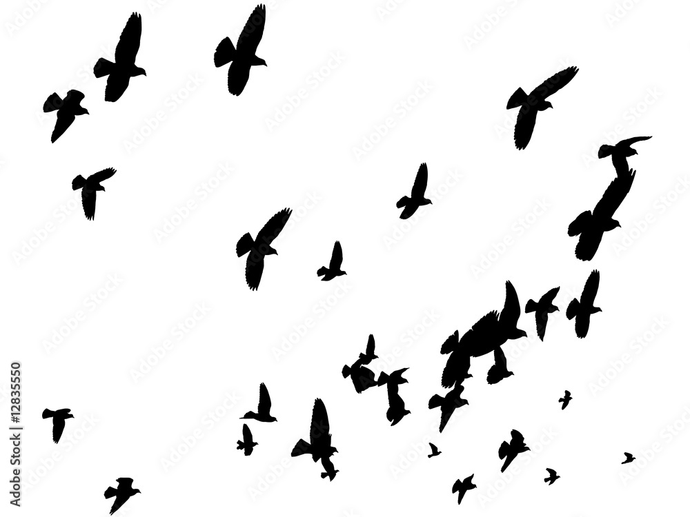 Vector Birds Flying Away - Peace to the World Vector Birds Flying Away - Peace to the World