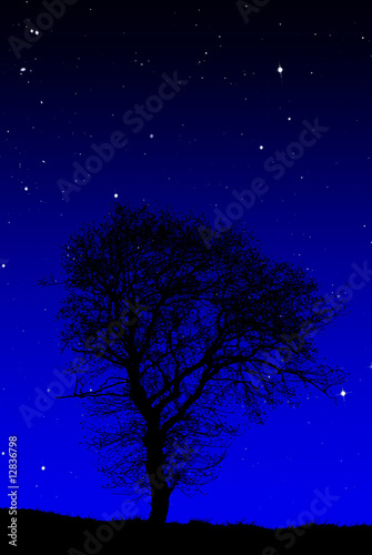 notte stellata © luigi giordano