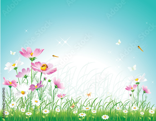 Floral meadow