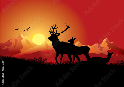 deers in the mountains on sunset