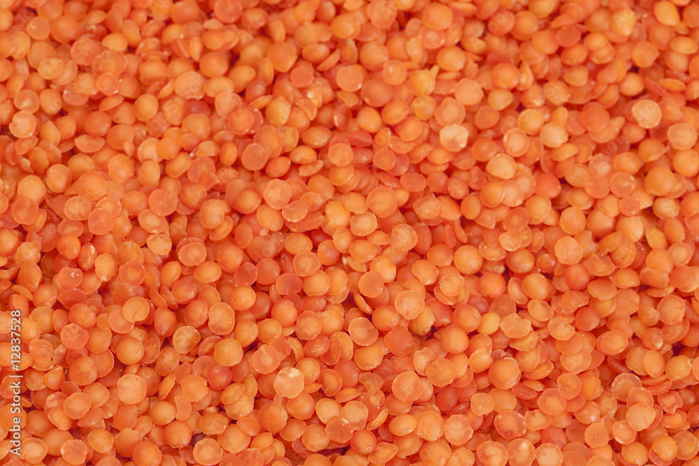 red lentil