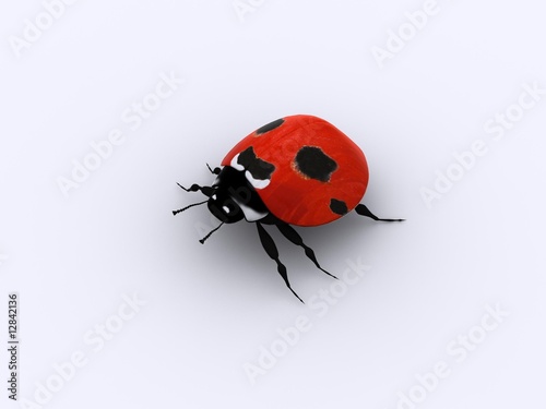 A little red lady bug © jaddingt
