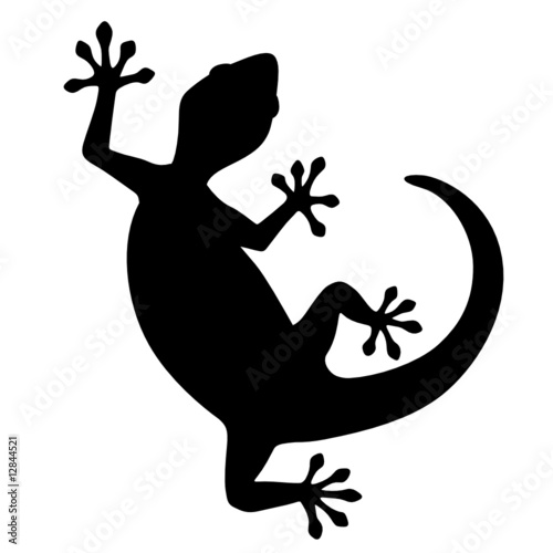 Silhouette de lézard
