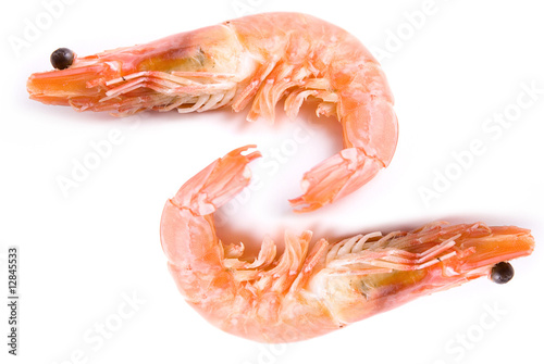Two Shrimps