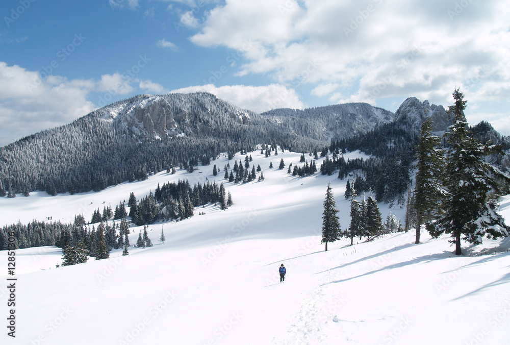 winter in carpathians