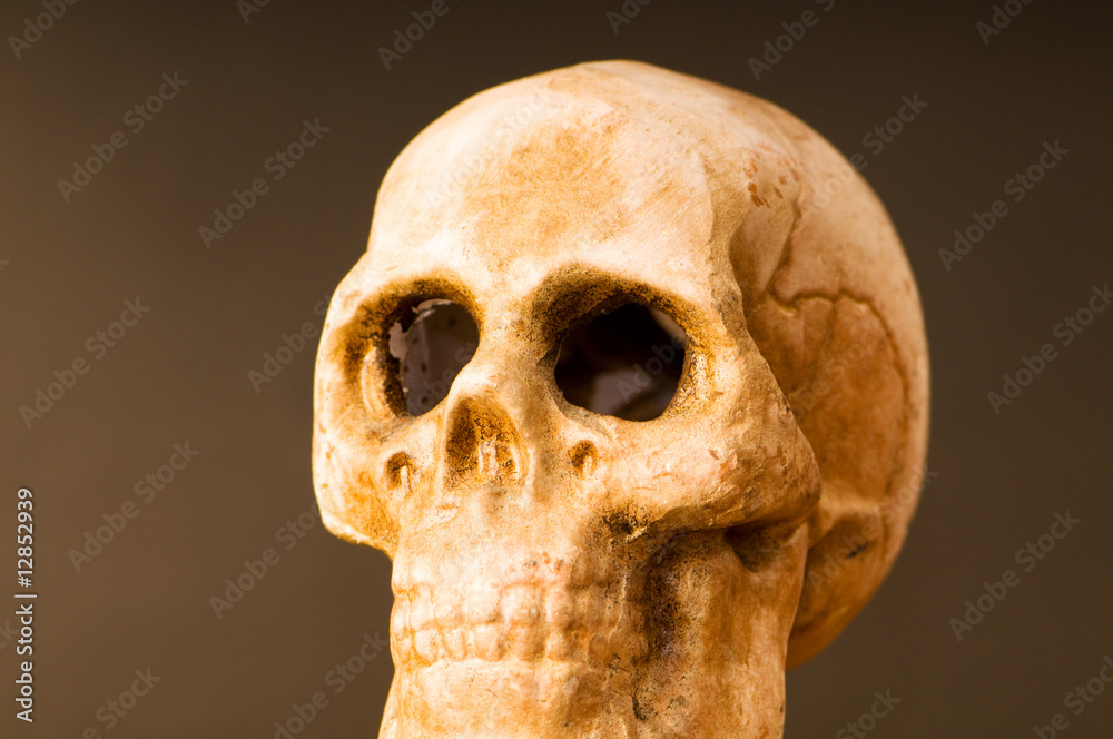 Obraz premium Human skull isolated on white