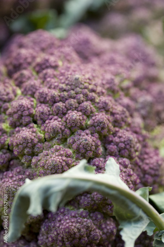 broccoli photo