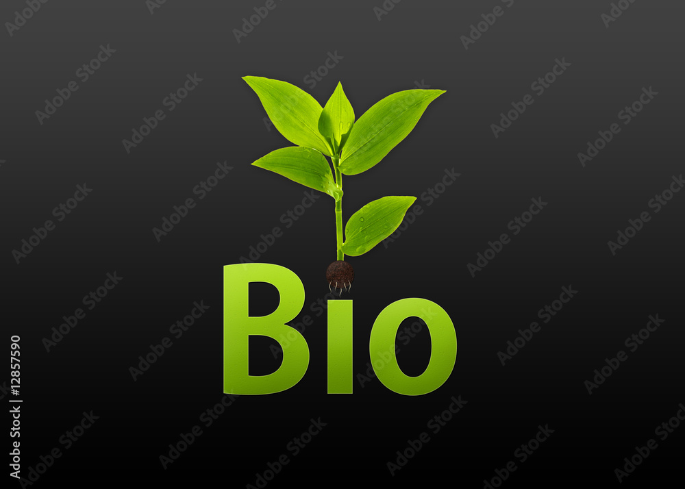 Fototapeta premium Bio - Logo (BLACK EDITION)