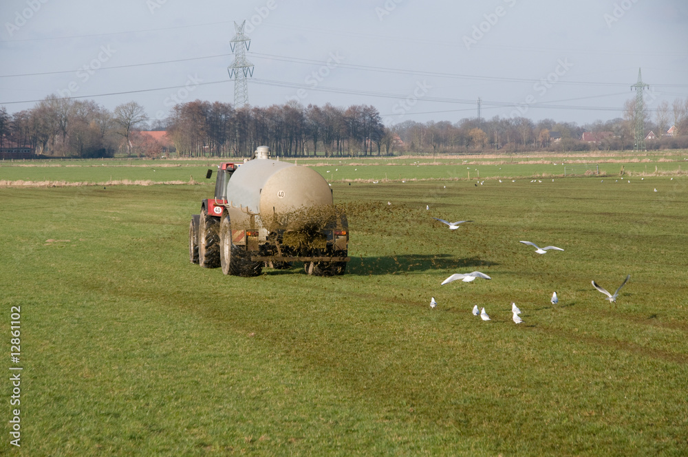 Obraz premium Gülleausbringung