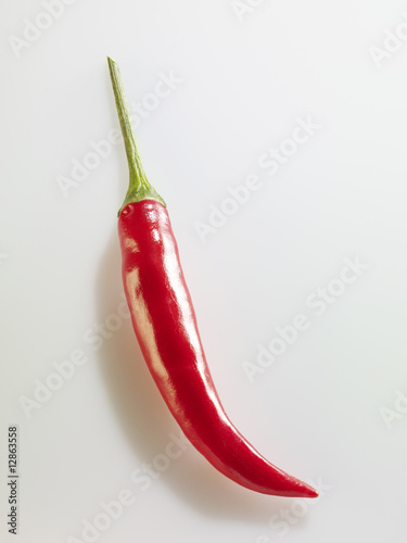 Chili-Schote