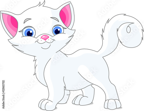 White kitten