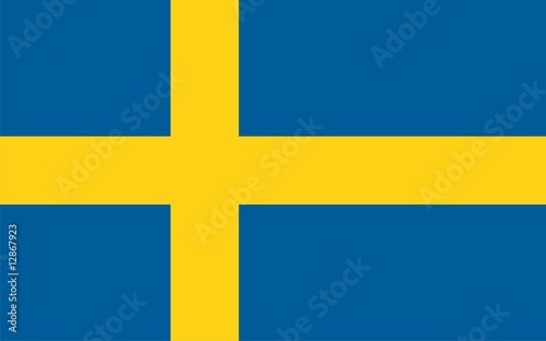 Sweden national flag. Illustration on white background