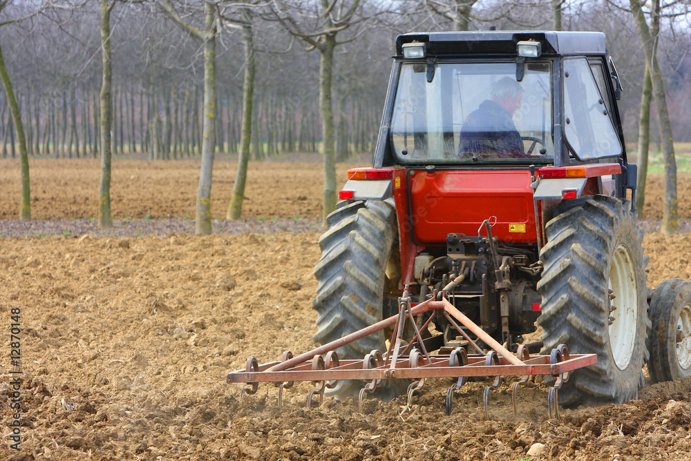 Fototapeta premium agricoltura