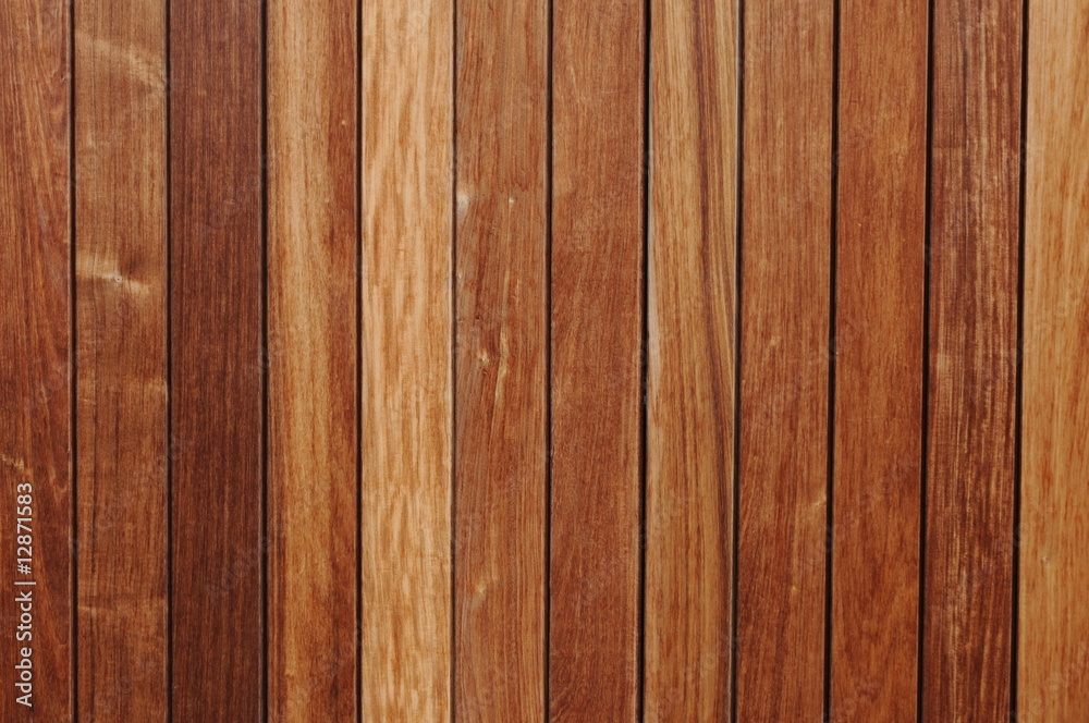 Fototapeta premium Holz