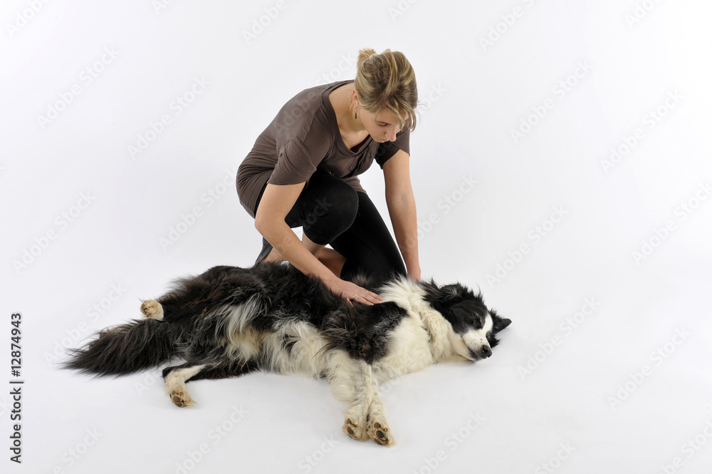jeune femme caressant son chien allongé par terre jeune femme caressant son chien allongé par terre