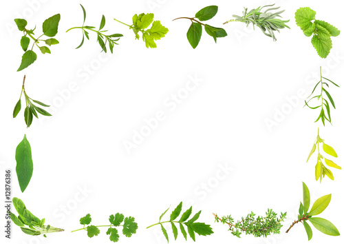 Herb Leaves