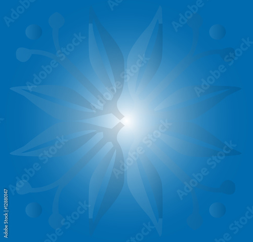 fleur bleue