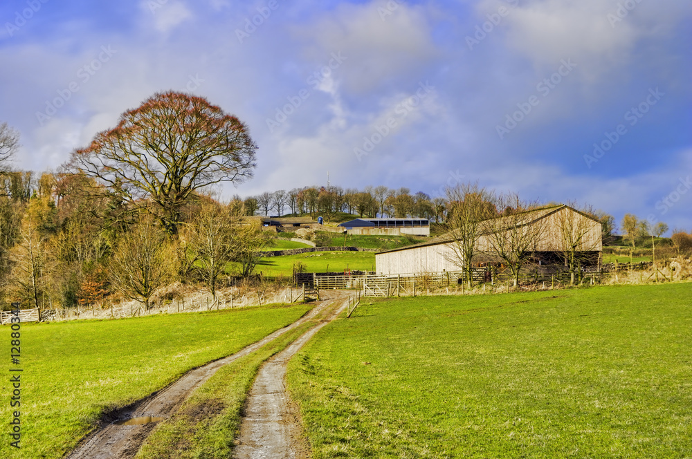 Farm in English countryside