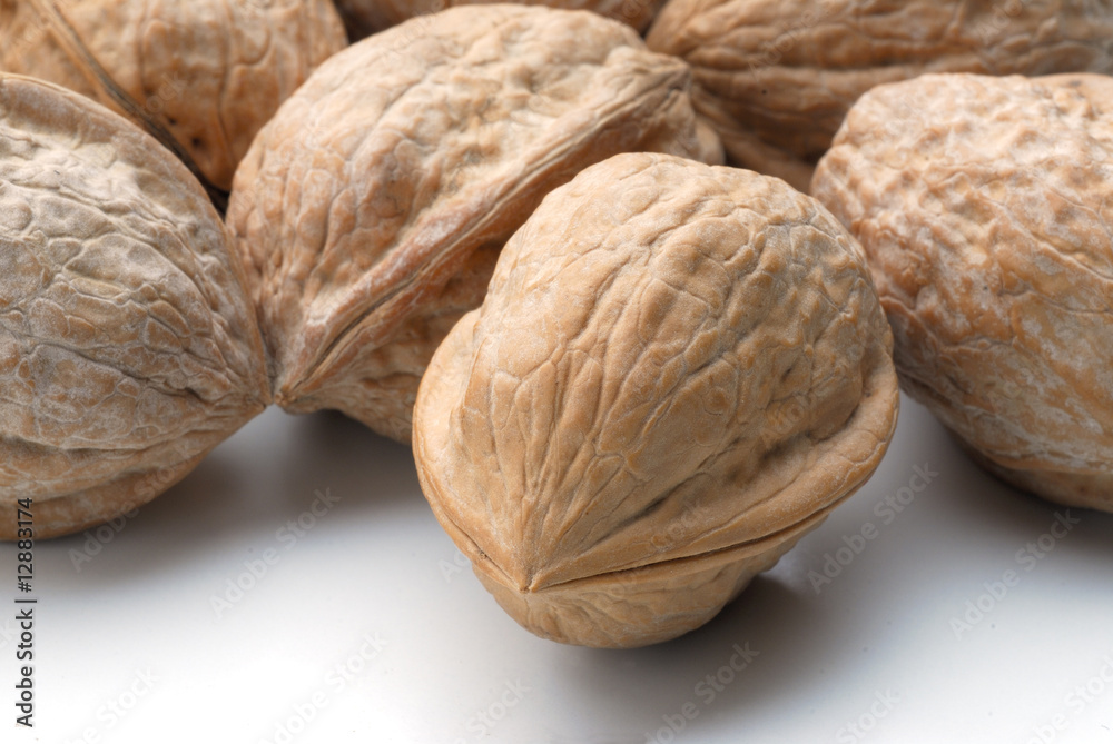 NUECES NUECES