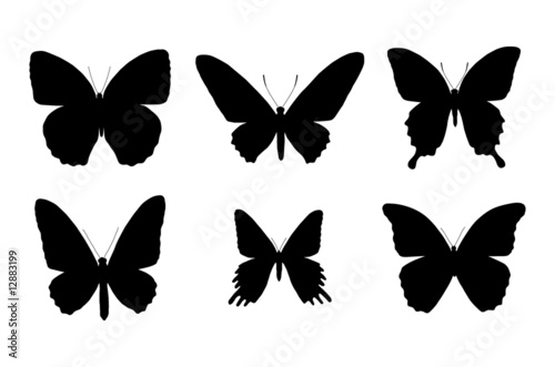 butterfly silhouettes
