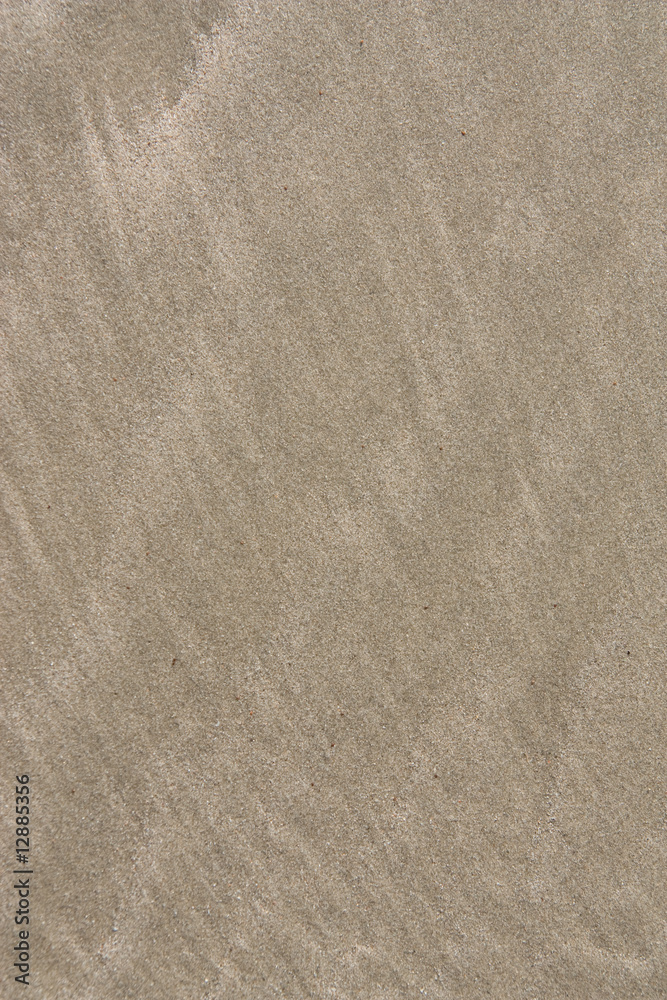 Obraz premium Natural sand grain on beach