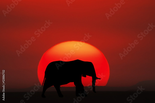 African sunset  Kenya