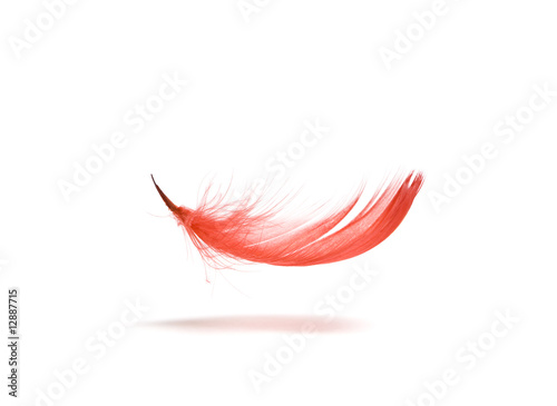 Red feather