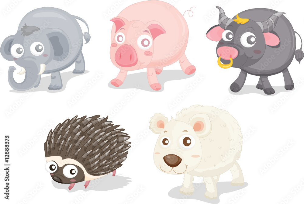 Obraz premium various animals