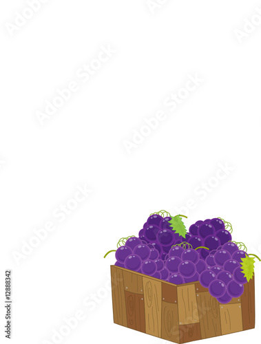 grapes