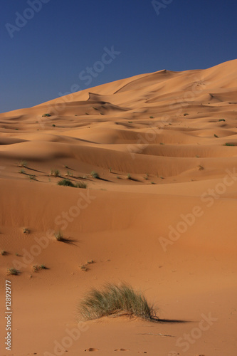 Dunes de Merzouga, Maroc