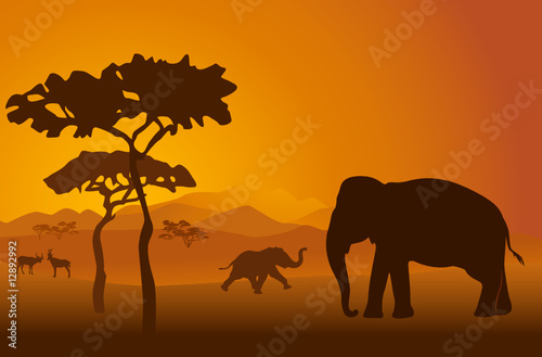 Silhouettes of elephants on backgrounds Kilimanjaro