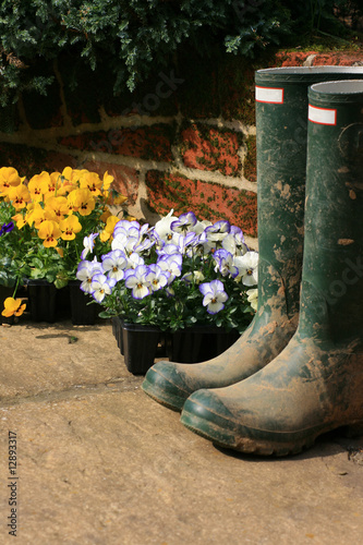 Boots and Pansies