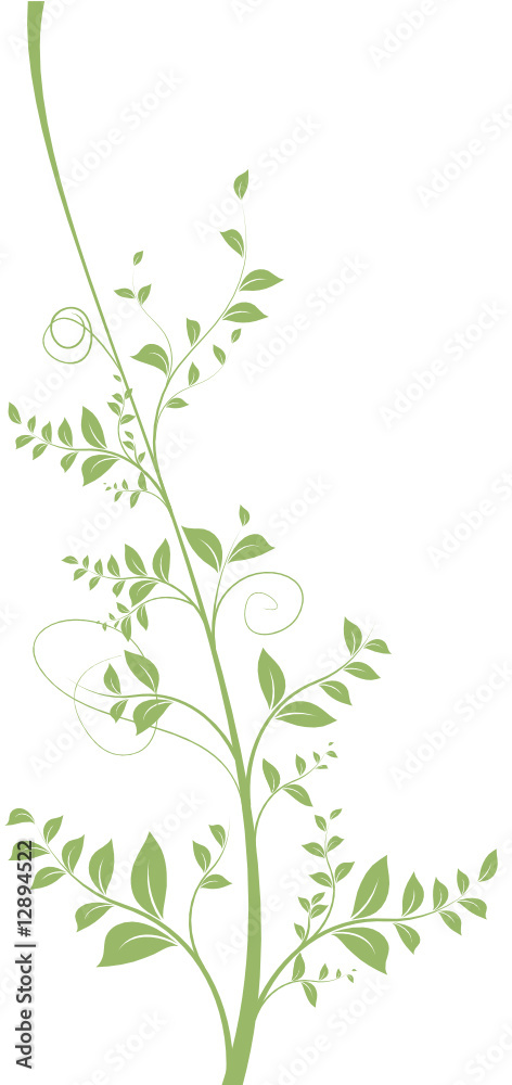 floral design - décoration vectorielle vert sur fond blanc