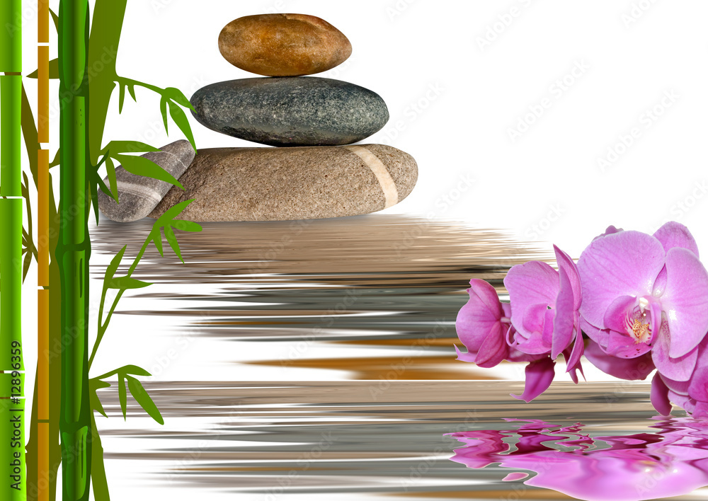 Obraz premium orchidées et bambous