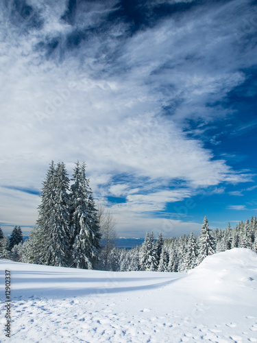 Winter landscape,Serbia