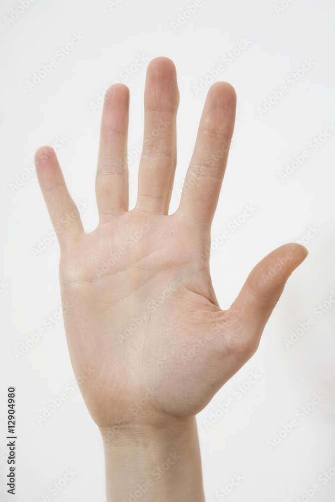 well shaped women hand well shaped women hand