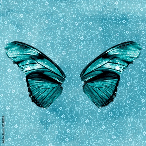 fond turquoise et ailes de papillon photo
