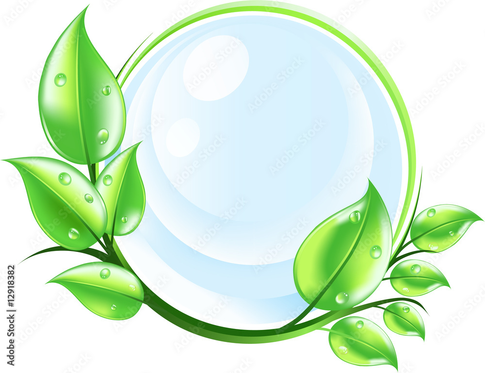 leaves and water drops/ purity concept leaves and water drops/ purity concept