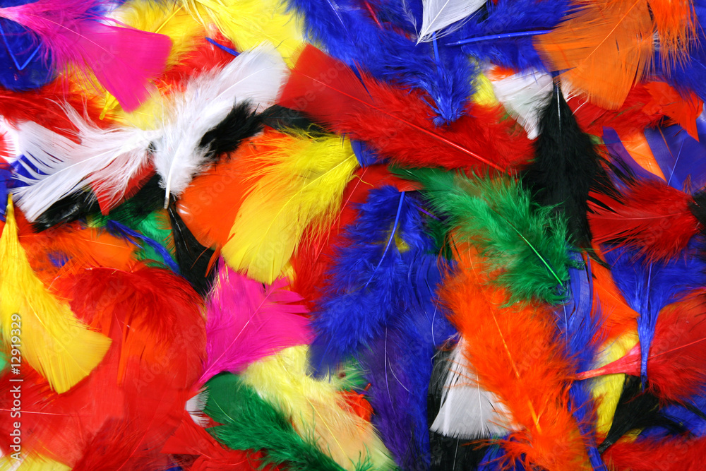 Multicolor feathers Multicolor feathers