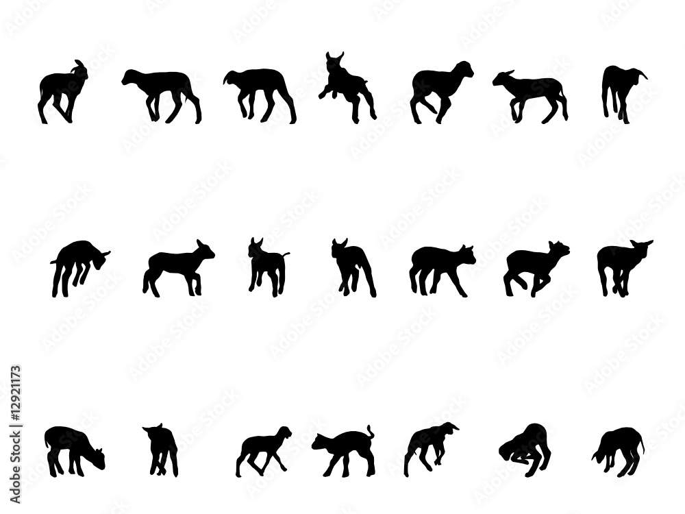 Fototapeta premium lamb silhouettes, collection for designers