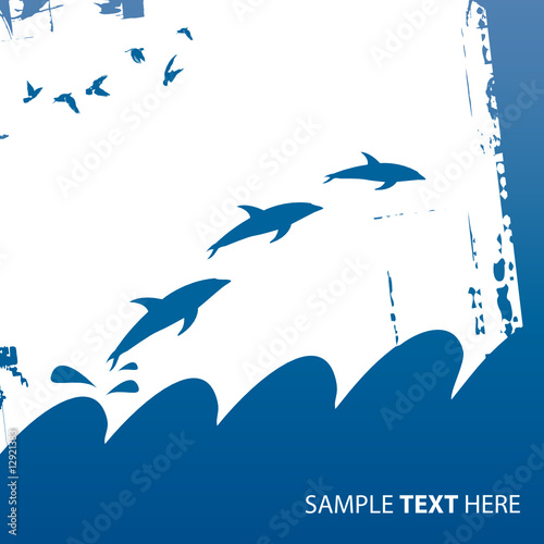 dolphins