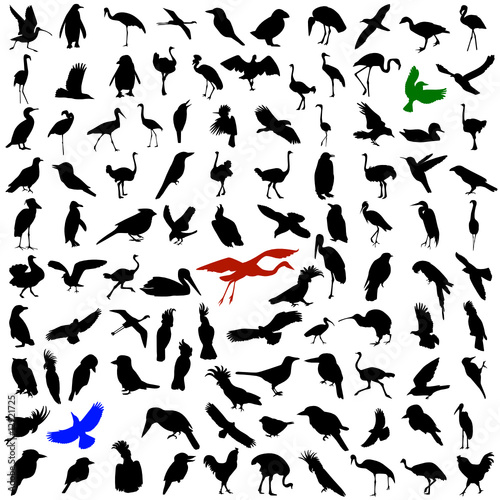 Hundred silhouettes of birds