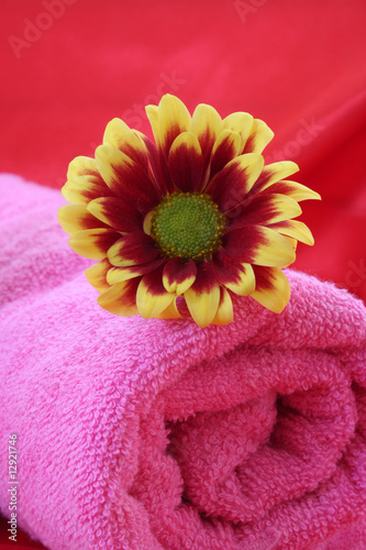 flower and towel on pink