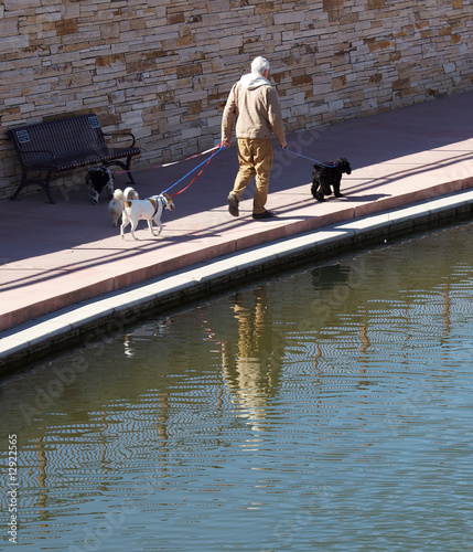 Man walking dogs along riverwalk