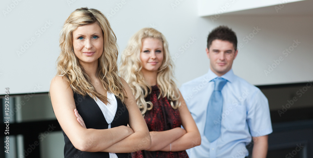 Obraz premium Businessteam