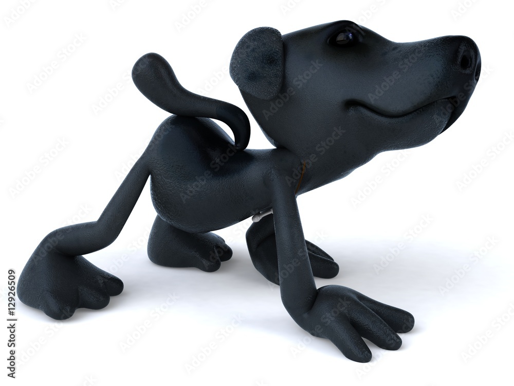 Obraz premium Chien noir