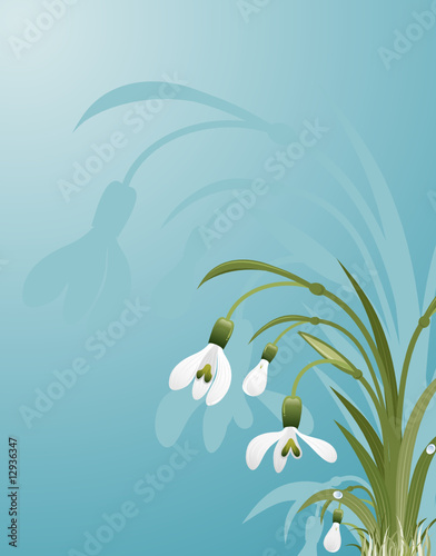 Flower background