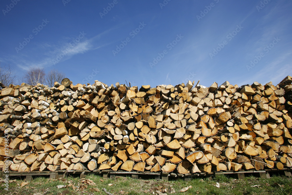 logs